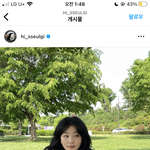 <b>슬기</b> 머리를 뭐라하지