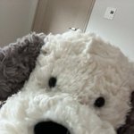 우리집 멈<b>무인</b>형 자랑