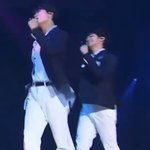 [ZB1] 얘네좀 봐ㅈㄴ <b>신난</b> 강아지같아
