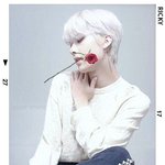 [ZB1] 션취안<b>루이</b>씨