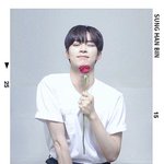 [ZB1] 아 성한빈 <b>팔</b> 진짜 에반데