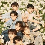 [ZB1] 아 또 기 살려<b>주네</b>