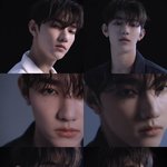 [ZB1] 안되겠다 개구리 <b>출몰</b>해야겠음;;