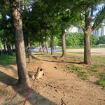 멈<b>머이</b>