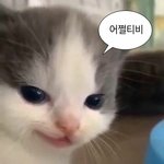 나 <b>예전</b>에 어이없게 꼽 먹은 거