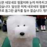 [드루와] 나 ㄹㅈ <b>어플</b>에서 내 친구 봄...