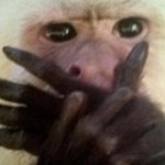 지금 내 방에서 감금모드임