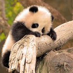 내 마음을 녹이는 <b>자그마</b>한 녀석들
