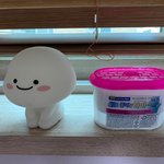이번 여름 비 엄청 온다길래