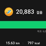 [드루와] 오늘 <b>걸음</b><b>수</b> 개미쳤다