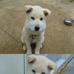 체육복 반바지안에 <b>스타킹</b> 신는거 오바야?