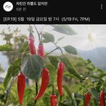 차<b>쥐뿔</b> 힌트 카리나밖에 없는데?