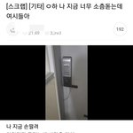 <b>니</b>네 이거 <b>영상</b> 봤냐