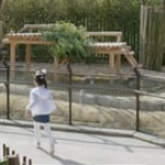 작품 딱 하나 출연한 배우