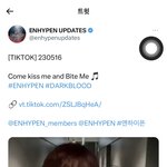 엔하이픈 신곡 진짜 좋다