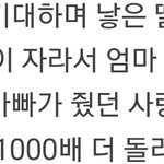 아이들 어린어른 가사 넘 짠함ㅜ