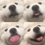 <b>사문</b> 문제집 추천좀 ㅈㅂ