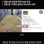 틴탑 전 멤버 근황