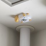 집<b>실외</b>기실에 이게 뭘까요?