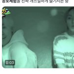 [스키즈] 이거 뭔지 아는 사람