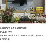 미친거 아니야?