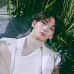 아 배진영 <b>컨포</b> 조카 잘나옴