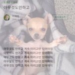 나 옛날엔 <b>수포</b>자 왜 생기는지 몰랐거든?