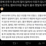 <b>진주</b> 옷도 엔하이픈 세계관이랑 연관 있대ㅋ
