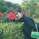 한지민 사진으로 팬들과 <b>일상</b> <b>공유</b>