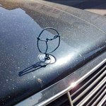 <b>헛웃음</b> 나오는 순간들.jpg