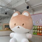 터래기 <b>팝업</b> 졸라 귀엽다