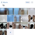 이거 다이어트 <b>자극</b> ㅈ됨