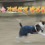 소소하게 힐링된 이창섭+ <b>구리</b>(반려견) 캠핑