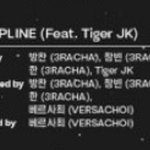 헐 타이거<b>jk</b>랑 스키즈