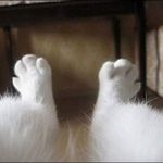 [<b>방탄소년단</b>] 슈시님 레스트 풀었음