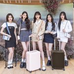 아이브 음악사이트별 일간 1위 <b>횟수</b>