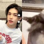 [스키즈] 싱크로율이 진심 천퍼야 ㅋㅋ