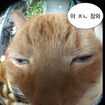 반에 <b>장애</b>인잇는애들 들어와봐