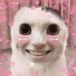 [댓글부탁해] 처음으로 mbti i인게 슬펐음...ㅜ