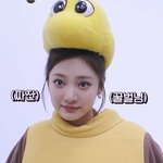 [드루와] <b>꿀벌</b> 닝닝
