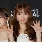 김채원 코
