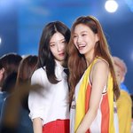 내가 팠던 첫 호모는