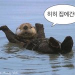 이정도면 탈모로 병원 갈 정도야?