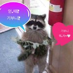 [ZB1] 이거 <b>하오</b>랑 리키래ㅋㅋㅋㅋ