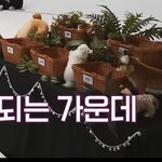 [TXT] 내가 보고싶어서 올리는 이번 투두 동물<b>인형들</b>