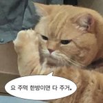 [드루와] <b>식욕</b>억제제 효과 개쩌네