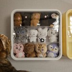 [TXT] 우와 탐라에서 발견한 인형장인데