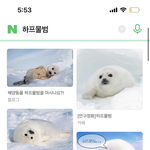 [이것좀봐줘] 애들아 나 친구들이 이거 닮았다는데 칭찬임..?