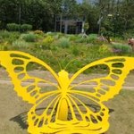 뮤직비디오 2023/5/20 <b>창동</b> 하늘꽃정원, 치유숲길 낮(집으로...