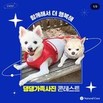 이런 이벤트 재미있으면서도 상품 꿀인듯 ㅋㅋㅋ